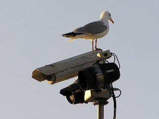 Una conferenza segreta