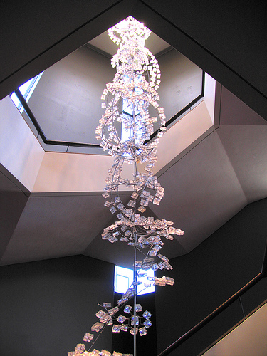 La banca del DNA e un piccolo consiglio