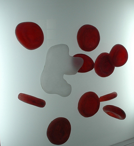 La fatica di fare gli anticorpi contro malcostume e disonestà