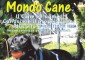 La locandina degli incontri 'Mondo cane'