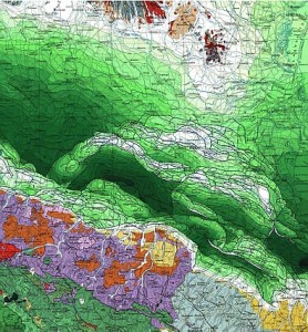 La sfida della scienza per una nuova politica (a proposito del rapporto Ichese)