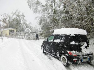 Prevenzione e piani d’emergenza per evitare disservizi da neve