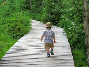 Dobbiamo guardare avanti e non indietro