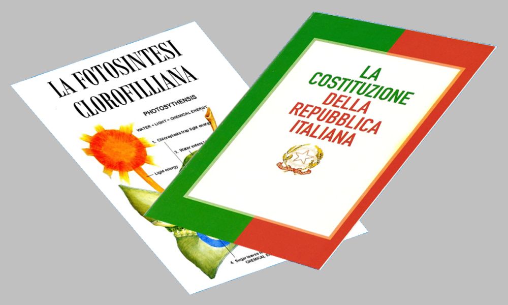 Costituzione clorofilliana…