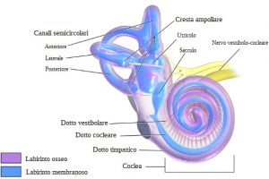Verso il riconoscimento della sindrome di Menière