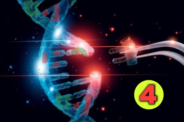 C’era una volta il PD / 4: quale rappresentanza per il mondo cattolico?