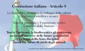 La tutela dell’ambiente in Costituzione